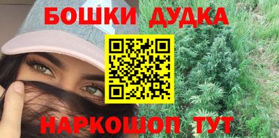 прущие грибы Шахты