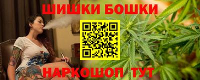 прущие грибы Шахты