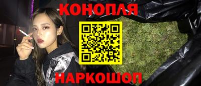 прущие грибы Шахты