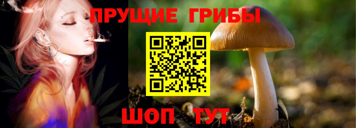 Галлюциногенные грибы Psilocybe  Вход с VPN  Анапа 